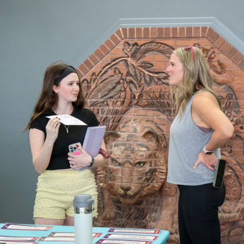 IMALIVE Mental Health Fair