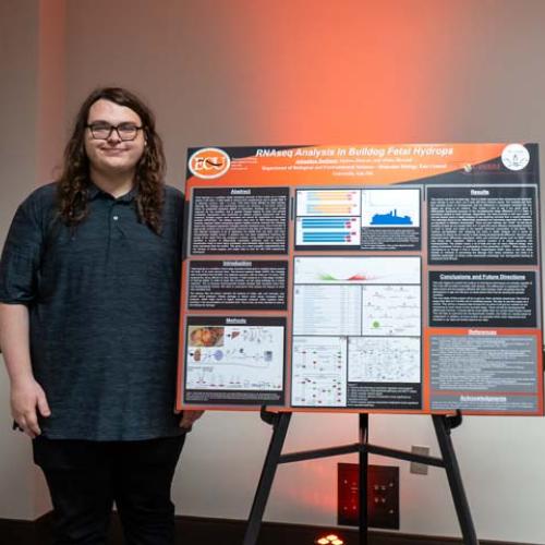 McNair Scholars Poster Display 2025 Photo