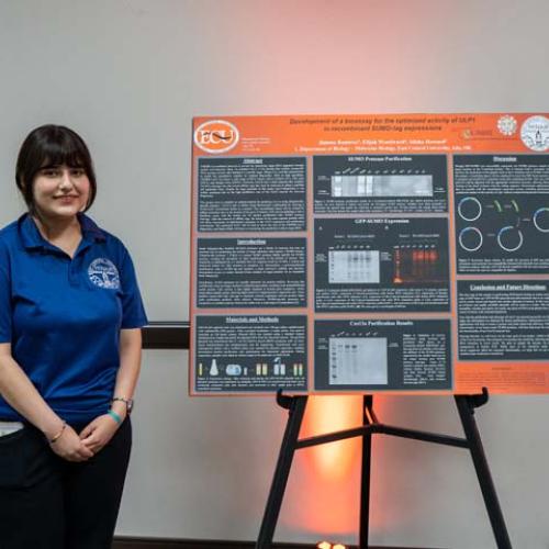 McNair Scholars Poster Display 2025 Photo