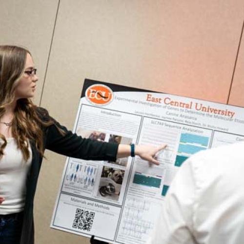 McNair Scholars Poster Display 2025 Photo