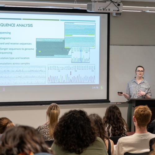 Spring 2025 Honors Showcase
