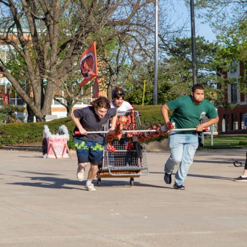 Greek Week Chariot Races