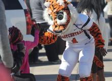 Roary high fives young child