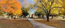 ECU campus during fall