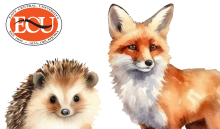Hedgehog and Fox