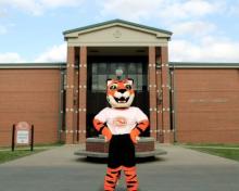 Once a Tiger