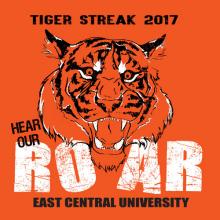 Tiger Streak 2017