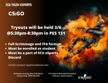 CS:GO Flyer