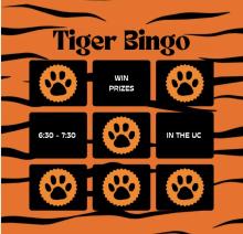 Tiger Bingo