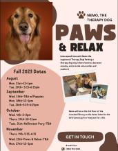 Paws and Relax Flyer