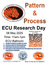 Pattern & Process Flyer