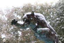 E C U Tiger fountain pictured with snow